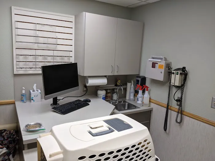 VCA Deer Creek Animal Hospital Picture 10