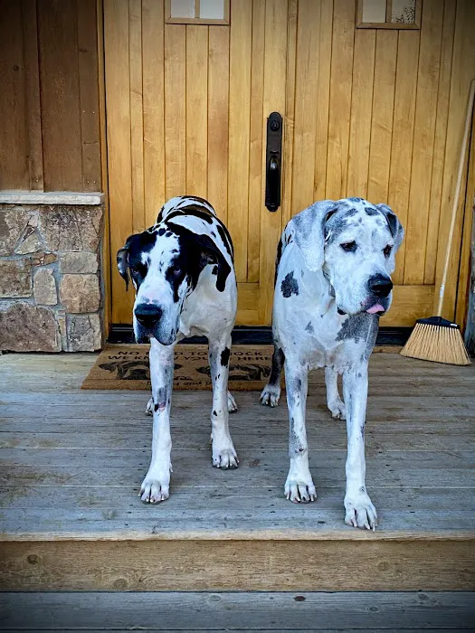 VCA Deer Creek Animal Hospital Picture 7