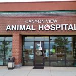 Canyon View Animal Hospital