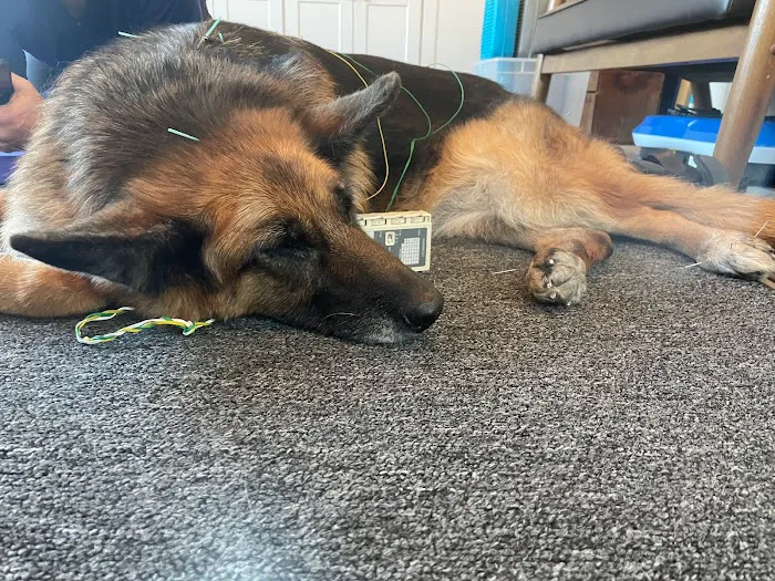 On TRAC Veterinary Care Picture 9