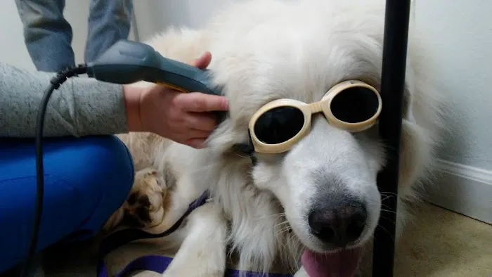 South Clackamas Veterinary Services Picture 1