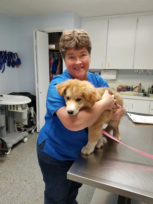 South Clackamas Veterinary Services Picture 6