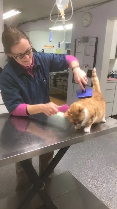 South Clackamas Veterinary Services Picture 8