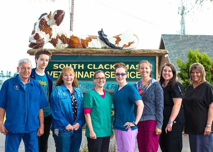 South Clackamas Veterinary Services Picture 9