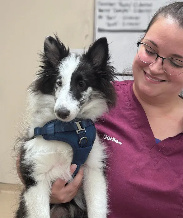 Animal Care Clinic Picture 4