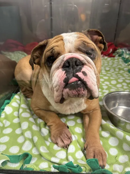 Animal Care Clinic Picture 1