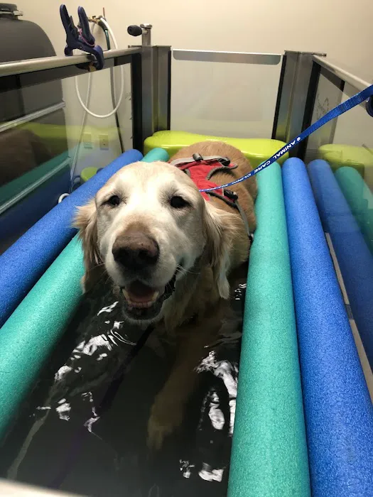 Animal Care Clinic Picture 6