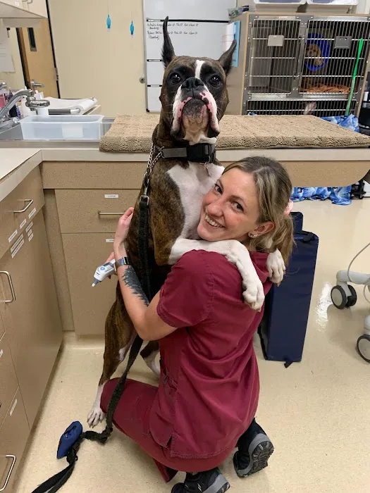 Animal Care Clinic Picture 8