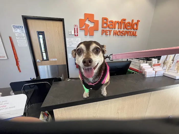 Banfield Pet Hospital Picture 1