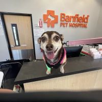 Banfield Pet Hospital ico