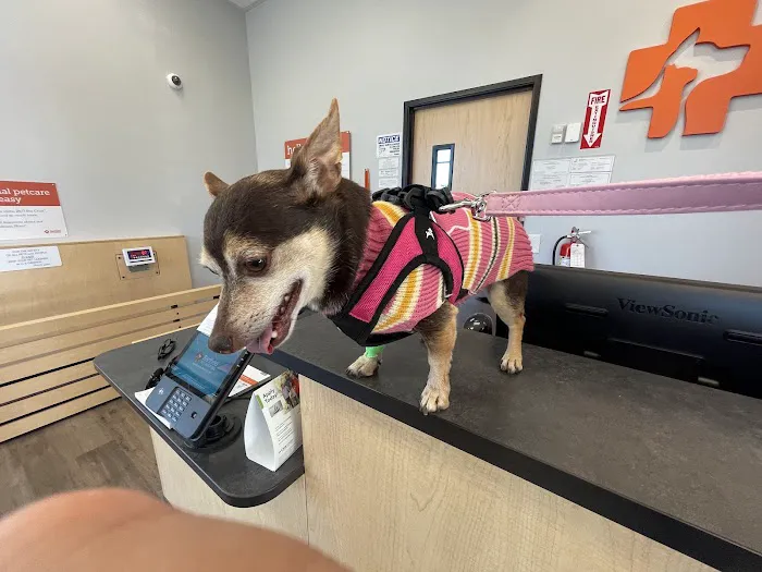 Banfield Pet Hospital Picture 3
