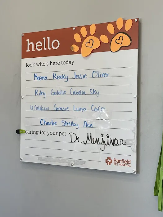 Banfield Pet Hospital Picture 9