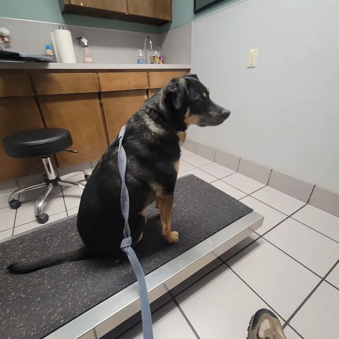 Wilsonville Veterinary Clinic Picture 5