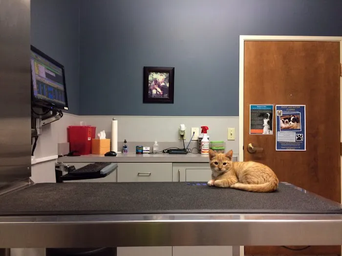 Wilsonville Veterinary Clinic Picture 10