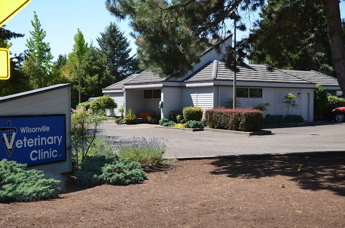 Wilsonville Veterinary Clinic Picture 3