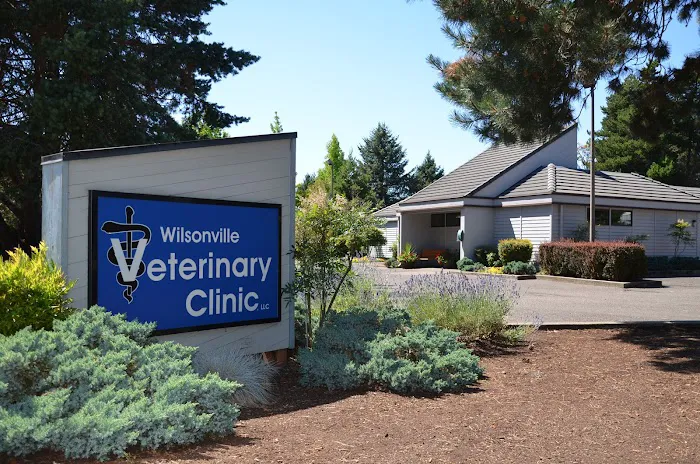 Wilsonville Veterinary Clinic Picture 9