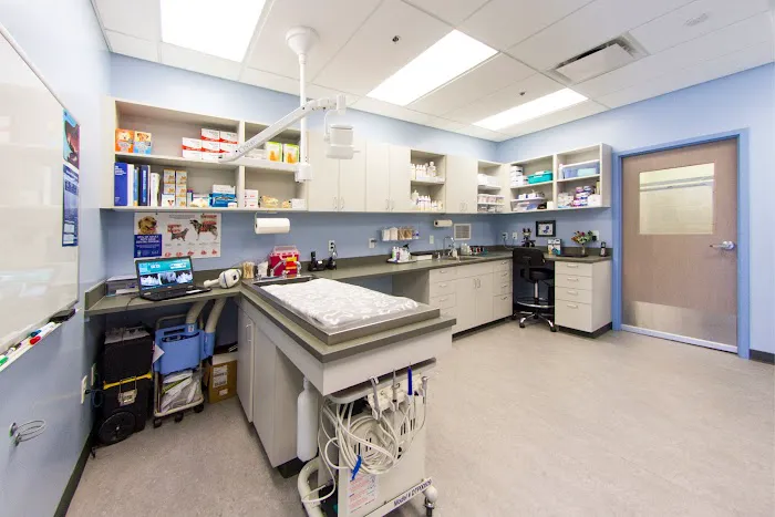 Vista Animal Hospital Picture 7
