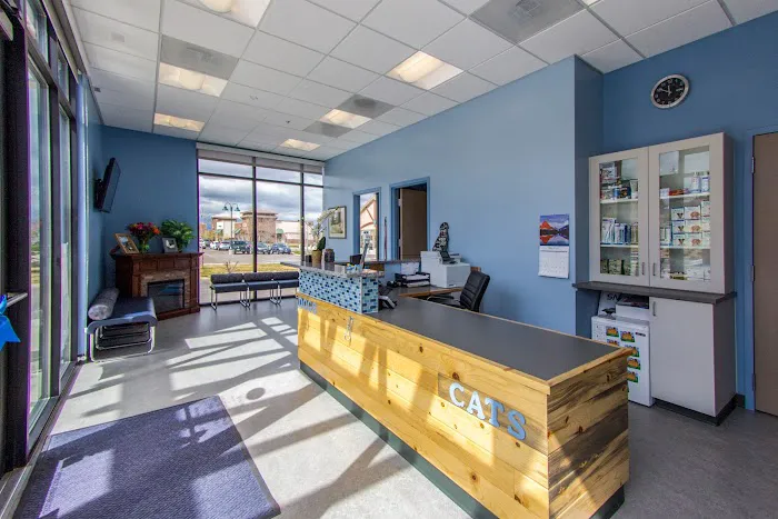 Vista Animal Hospital Picture 5
