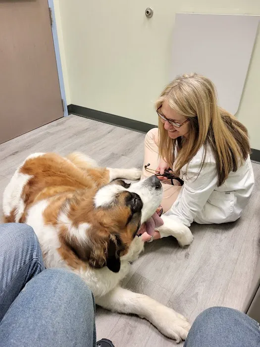 Vista Animal Hospital Picture 6