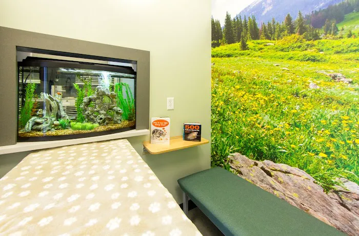 Vista Animal Hospital Picture 4