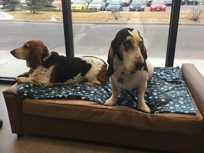 Vista Animal Hospital Picture 9