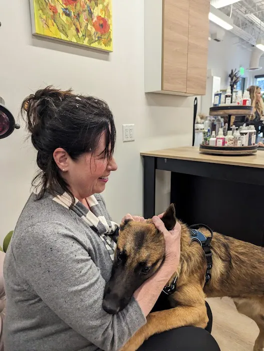 Coal Creek Animal Hospital Picture 6