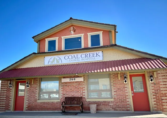 Coal Creek Animal Hospital Picture 2