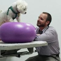 CCAPM Veterinary Care Center ico