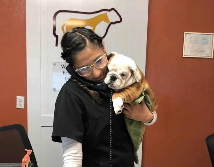 Animal Clinic, LLC Picture 6