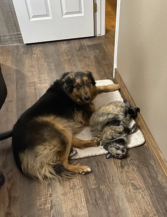 Foxtail Pines Veterinary Hospital Picture 3