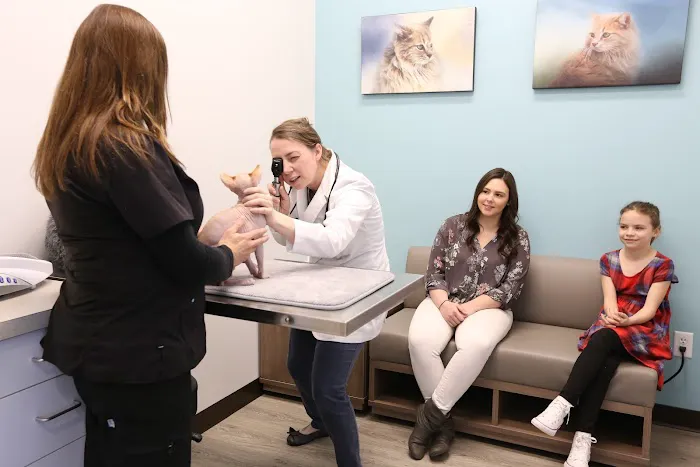 Sunshine Animal Hospital Picture 2