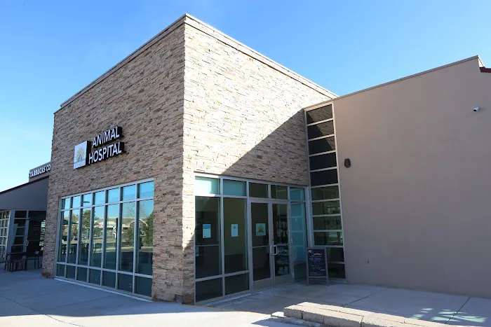 Sunshine Animal Hospital Picture 1