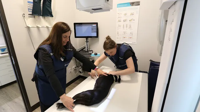 Sunshine Animal Hospital Picture 6