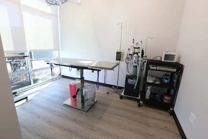 Sunshine Animal Hospital Picture 3
