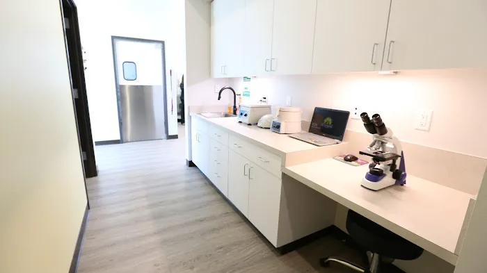 Sunshine Animal Hospital Picture 5