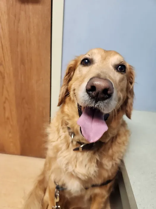 Louisville Family Animal Hospital Picture 5