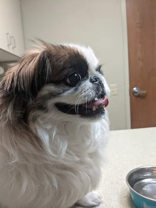 Louisville Family Animal Hospital Picture 3