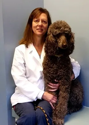 VCA Centennial Valley Animal Hospital Picture 4