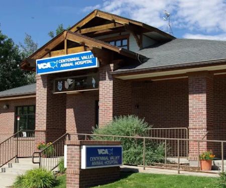 VCA Centennial Valley Animal Hospital