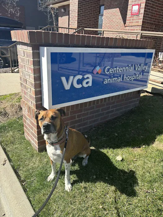 VCA Centennial Valley Animal Hospital Picture 10