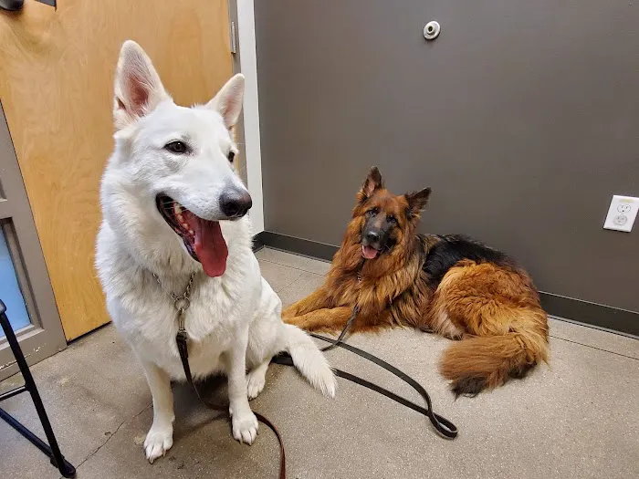 Aurora Animal Hospital Picture 6