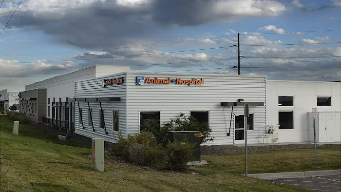 Aurora Animal Hospital Picture 5