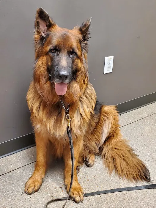 Aurora Animal Hospital Picture 8