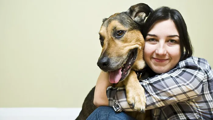 Aurora Animal Hospital Picture 3