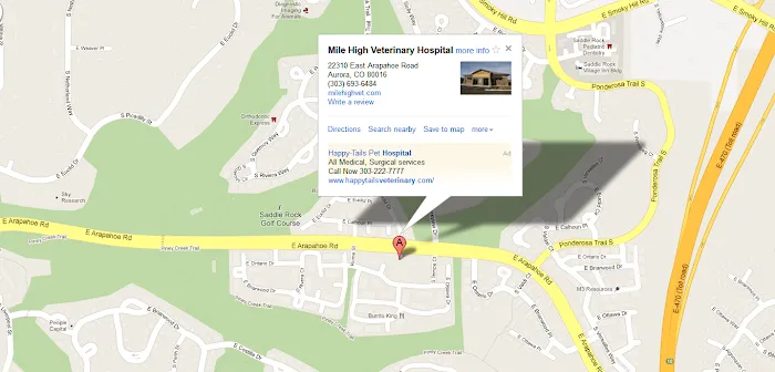 Mile High Animal Hospital, A Thrive Pet Healthcare Partner Picture 6