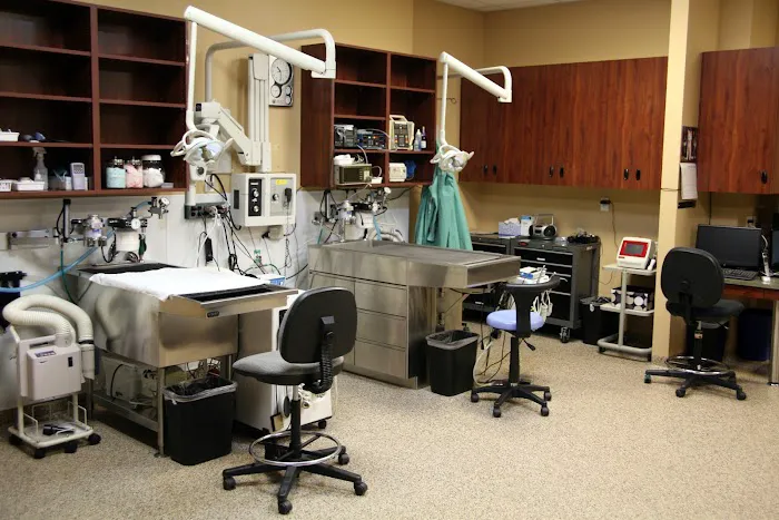 Mile High Animal Hospital, A Thrive Pet Healthcare Partner Picture 8