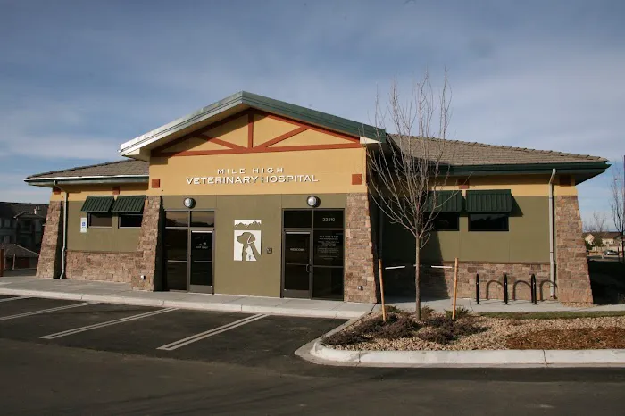 Mile High Animal Hospital, A Thrive Pet Healthcare Partner Picture 7