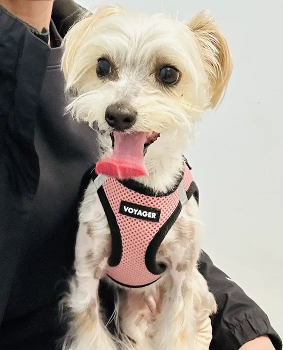 Happy Tails Veterinary Center Picture 6
