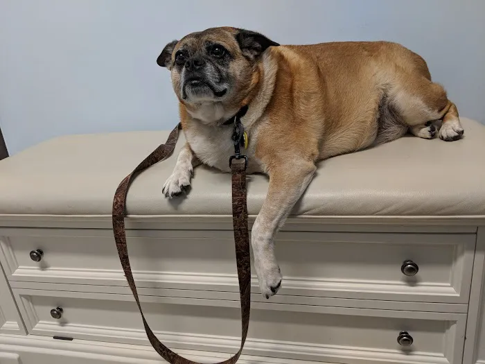 Happy Tails Veterinary Center Picture 4