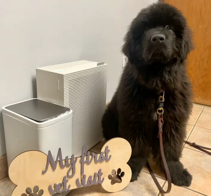 Genesee Veterinary Hospital Picture 5